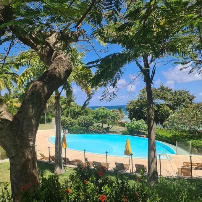 Magnifique Studio Pierre Et Vacances Piscine & Plage Sainte-Anne (Grande-Terre) Exterior foto